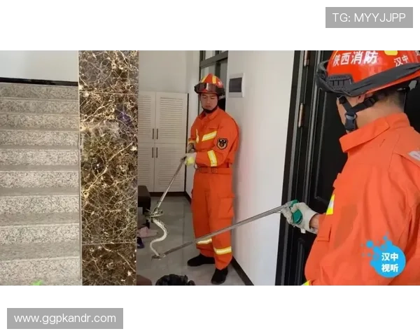 欧博app登录注册安全保障措施，确保用户账号信息安全与隐私保护