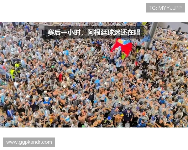 世界杯阿根廷对奥地利比赛地点全攻略，场馆设施与观赛体验介绍